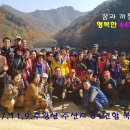 나드리 Daum카페