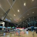 466 | 대한항공 KE466 후기