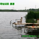 월곡낚시터 이미지