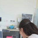 디엠씨트립스
