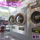 부성 세탁 이미지