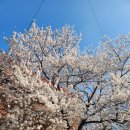 우리나현유치원 이미지