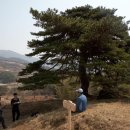 노고지리민박 이미지