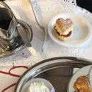 낙타(NAKTA) 이미지