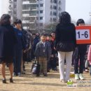 성남은행초등학교 티스토리