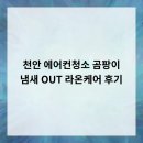 라온케어 | 천안 에어컨청소, 곰팡이 냄새 OUT! 라온케어 후기