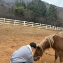 재욱목장 이미지