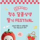 청남농협 가덕지점 | 팝업 페스타 완전 정복! 🍓 4월 4~5일 일정·프로그램·위치·주차·주변 맛집 + 실제 방문 후기 10가지