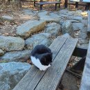 UR(공주시)-[동학사1로]-하-11 | 2025 등린이 탈출기