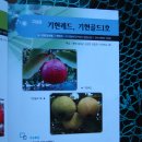 명덕농장 이미지