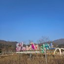 카페베고니아 | 가평베고니아새정원 방문 후기 입장료 카페 수선화 아이부터 어른까지 만족!