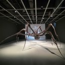 샐러드마망 | 호암미술관 마망 희원 단풍 가을 나들이코스