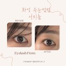 봉담(상3리) | 화성 봉담 속눈썹펌 맛집 서히룸/ 전 후사진/ 너무만족후기:)