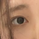 보라보라뷰티(BoraBora Beauty) | [ 부산 경성대 ] 보라보라뷰티에서 속눈썹 연장 받고 왔어요 #경성대속눈썹연장
