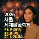 2025 세계불꽃축제(여의도 불꽃축제) 시간, 교통, 유람선, 준비물, 후기 &amp; 추천코스