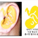 셀비오 두피탈모&건강