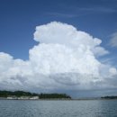 신월농장 이미지