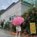 [대구근교 가창 나만 못먹어봤던 저 세상 맛 연탄불고기 감자전 맛집 : 정미네] 평일웨이팅 배터진후기