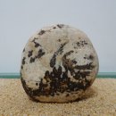 수림주유소 이미지