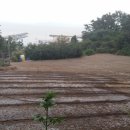 좋은땅부동산공인중개사사무소 이미지