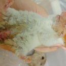 일죽종합동물병원 이미지