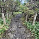 41190-01-07-297 | [제주] 한라산 10월 성판악코스 등반 후기