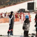 뽀삐 | 비발디파크 렌탈샵 뽀삐스키! 단체 여행도 문제없던 이용 후기