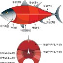 선참치 - 원주시 백간공원길 27 | 선참치