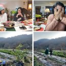 금밭 농장 이미지