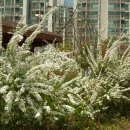 속리산(청주) 이미지