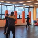 마루 GYM 복싱&크로스핏 이미지