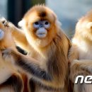 옹기종기 - 춘천시 효자로 73 | 옹기종기