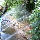 향촌가든 이미지