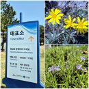 제주도 실내 가볼만한곳 제주 해녀박물관 주차장