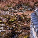 풍경소리 이미지