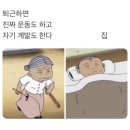 23년 8월 일상 : 덥지만 휴가라서 행복했다아