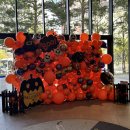 SKY쇼핑몰 이미지