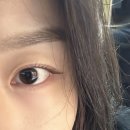 [창동역 속눈썹펌] 창동역 씨드큐브 신상 속눈썹펌 ‘아워오운뷰티’