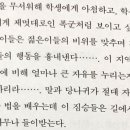 포풀리