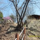 금릉초교 이미지