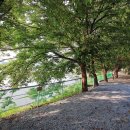 강변오토캠핑장2 이미지