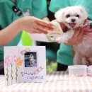 현대아울렛 이미지