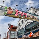 용현동물텀벙이거리 이미지