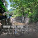 세븐일레븐 장흥유원지점 | 양주 장흥계곡 백숙 맛집 장흥유원지 물놀이 탑골 닭백숙