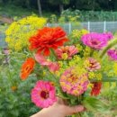 대덕로156번길 이미지