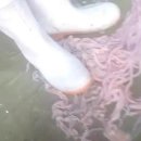 중국식품식당 이미지