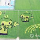 풍년가 이미지