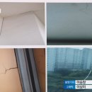 도리어