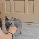 홍천군청소년수련원 | 홍천슬로커피 두촌면 분위기좋은 가성비카페 두촌버스터미널근처카페