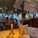 캄보식당 | 프놈펜 벙깽꽁 맛집 Bellini 봉골레 🍝 / 캄보 배달의민족.. 🏍️/ 하누로 맑은곰탕 후기🧑‍🍳